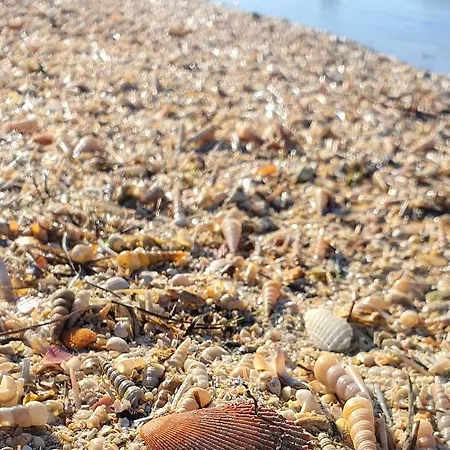 New Skofije Ankaran *