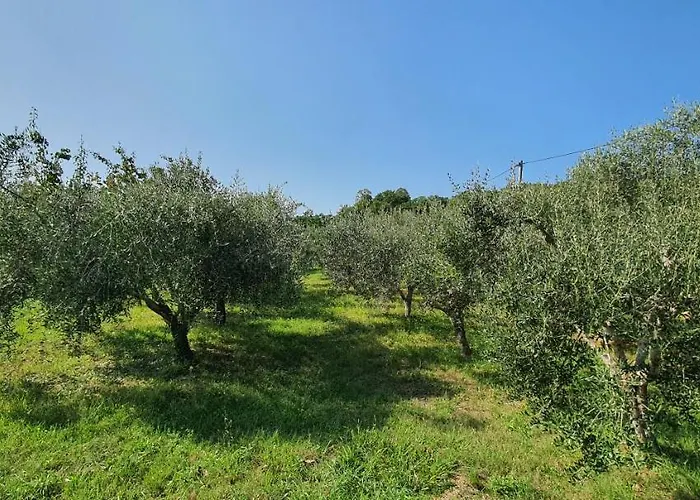 New Skofije Ankaran شقة