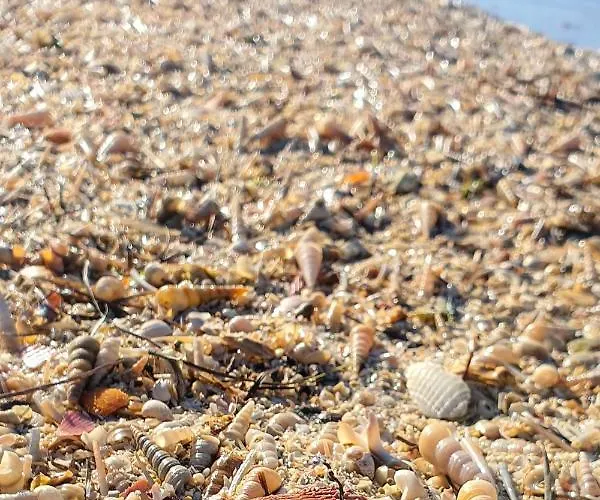 New Skofije Ankaran *